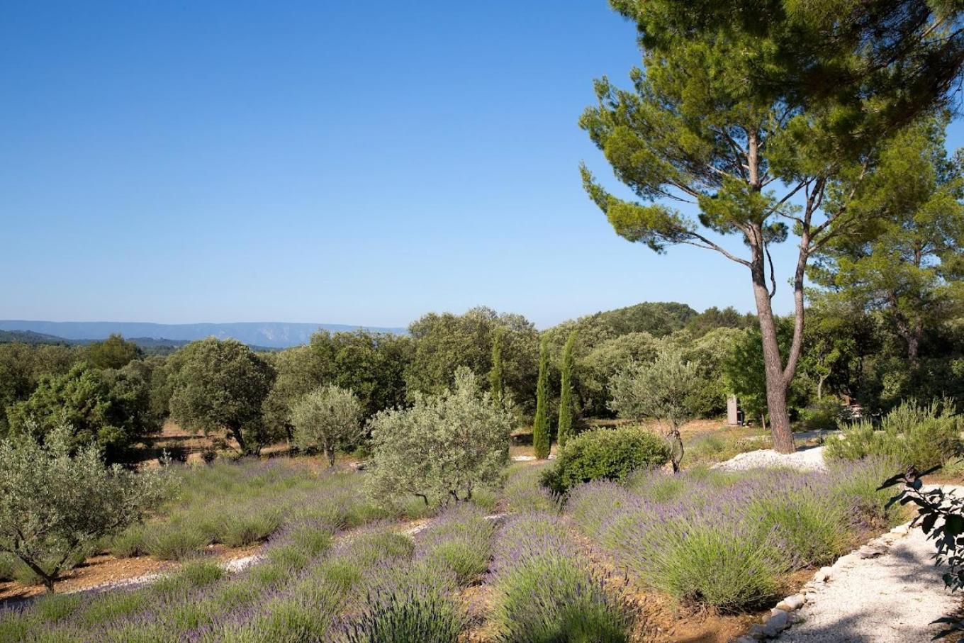 La Cle Des Champs, Boutique Hotel & Spa - Le Mas De Garrigon Roussillon en Isere Buitenkant foto