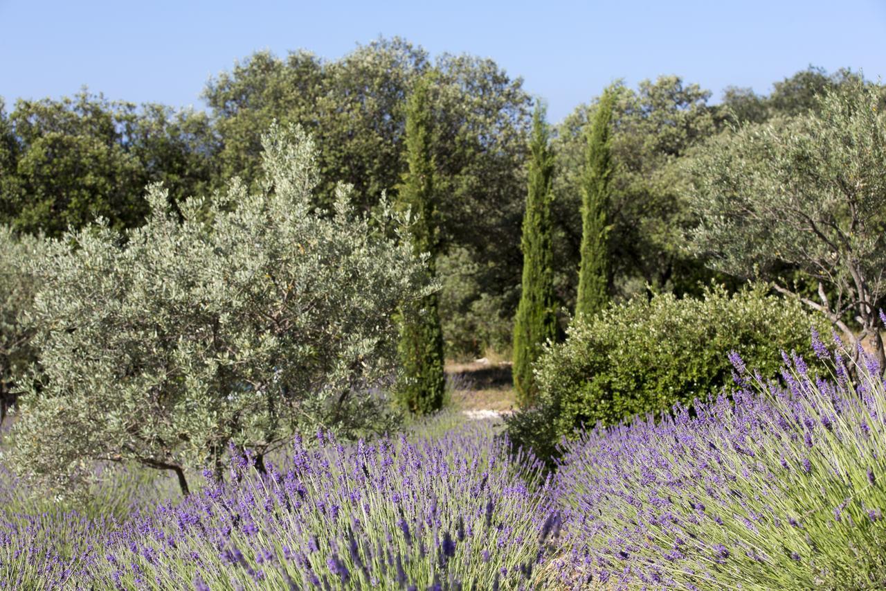 La Cle Des Champs, Boutique Hotel & Spa - Le Mas De Garrigon Roussillon en Isere Buitenkant foto